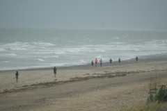 SONY DSC