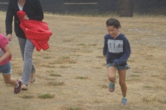 SONY DSC